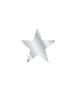 Silver Star Shaped Stickers 20mm