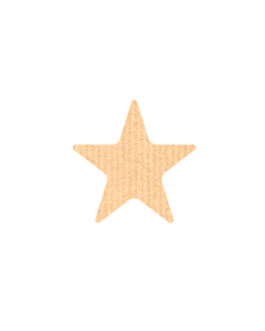 Kraft Star Shaped Stickers 20mm