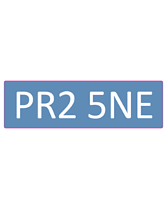 250x75mm Labels