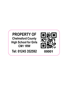 40x20mm Property of CCHS Tamper Labels