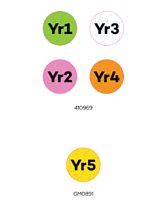 Sunderland University - Year Labels