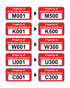 30x15mm Anderson Strathem Destructible Vinyl Labels 