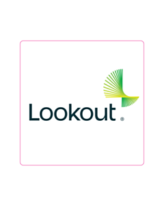 40x40mm Lookout Tamper Evident Label