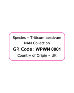 40x20mm NAM Collection Labels