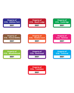 40x20mm Care Home Asset Labels - 10 Sorts