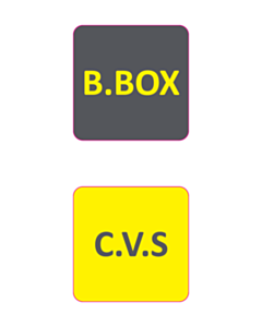 30x30mm CVS / B Box Labels - 2 Sorts