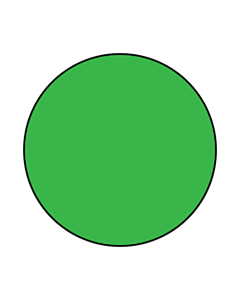 40mm Diameter Blank Green Labels