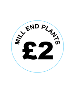 Mill End Plants £2 Labels