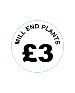 Mill End Plants £3 Labels