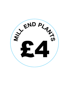 Mill End Plants £4 Labels