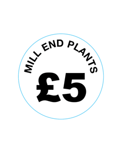 Mill End Plants £5 Labels