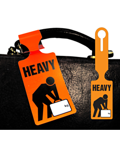 Heavy Loop Through Tags 245x60mm
